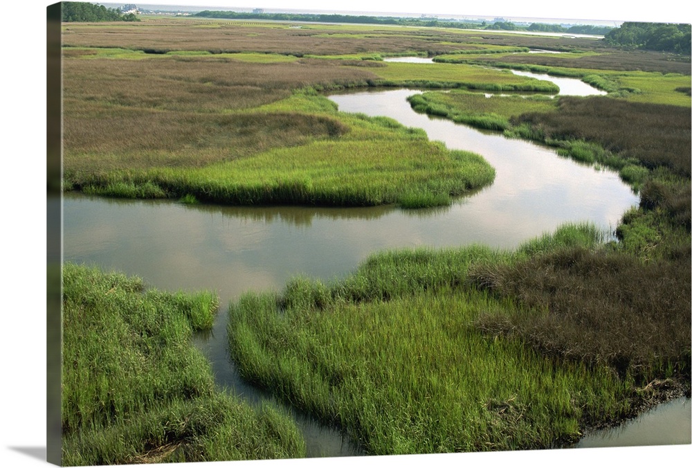 Wetlands of the Cooper River, North Charleston area, South Carolina, USA