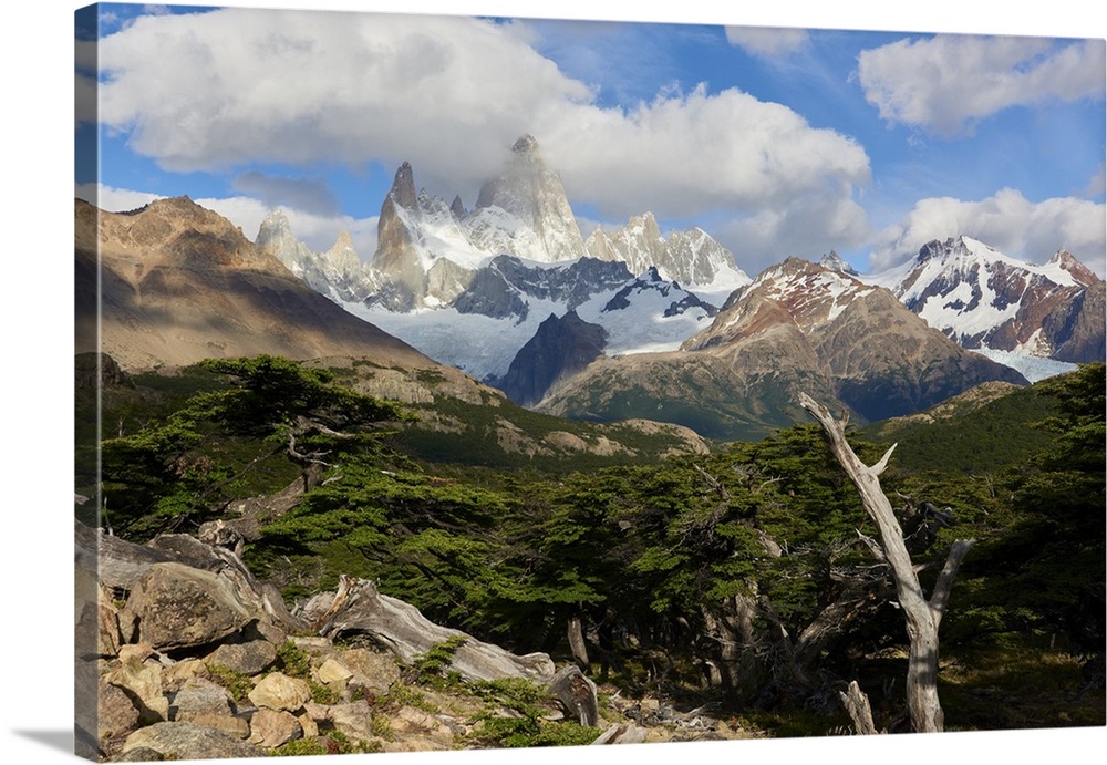 Wide angle landscape featuring Monte Fitz Roy in the background and tree in the foreground, Patagonia, Argentina, South Am...