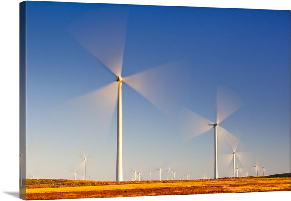 Wind turbines, Whitelee Wind Farm, East Renfrewshire, Scotland, United Kingdom, Europe