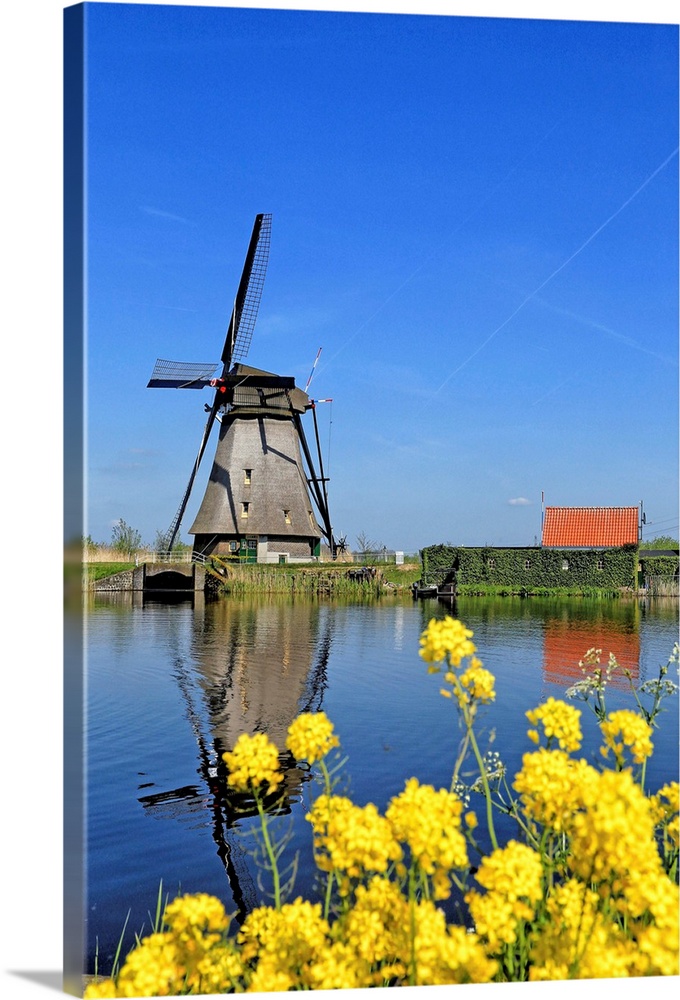 Windmill in Kinderdijk, South Holland, Netherlands