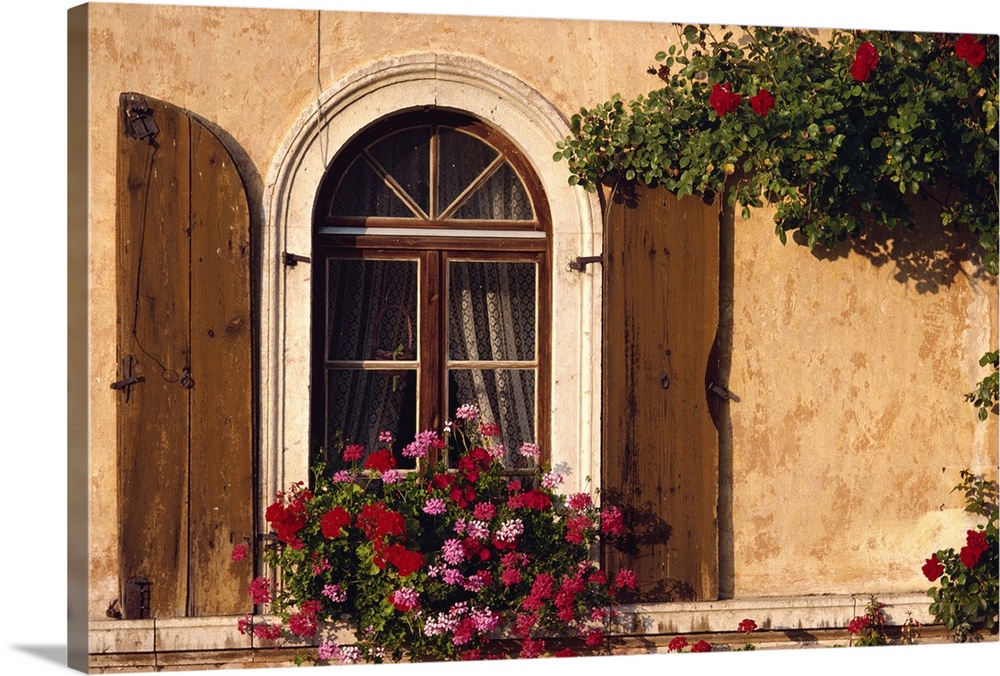 Window with shutters and window box, Italy