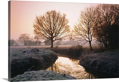 Winter Dawn On The River Bourne, Chobham, Surrey, England, UK