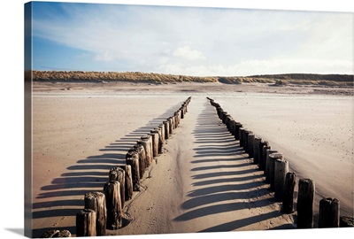 Wooden groynes on a sandy beach, leading to sand dunes, Zeeland, The Netherlands