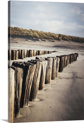 Wooden groynes on a sandy beach, leading to sand dunes, Zeeland, The Netherlands