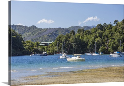 Yachts moored in the sheltered harbour, Ngakuta Bay, New Zealand