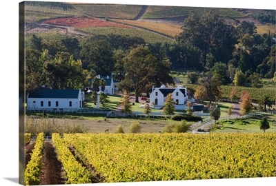 Zorgvliet Wine Estate, Stellenbosch, Cape Province, South Africa