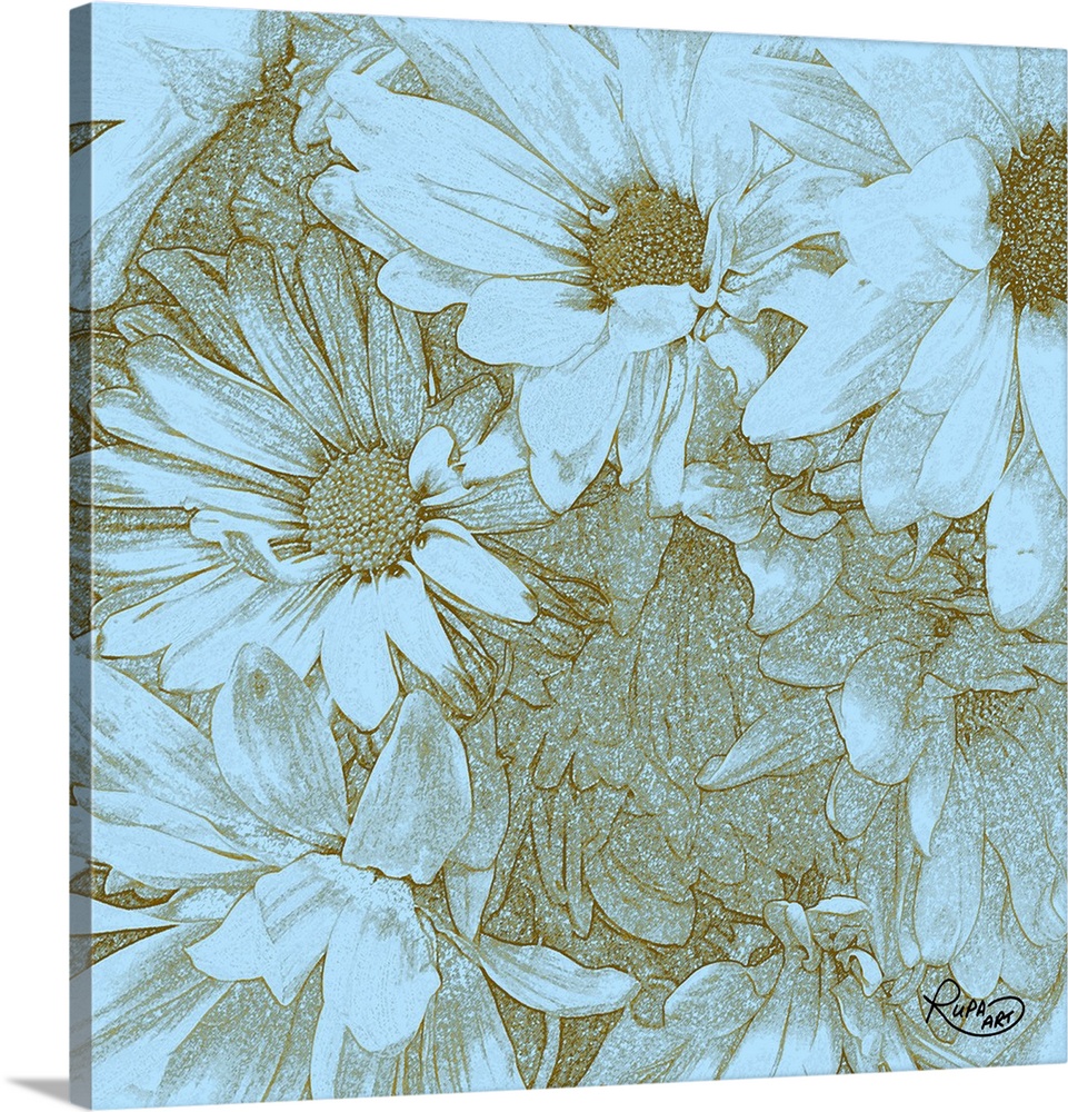 Square sketch of daises close-up in light blue and gold.