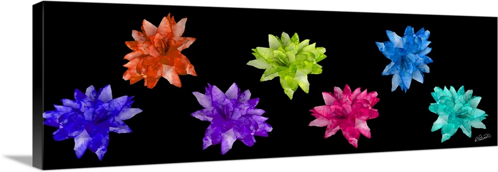 A long horizontal design of vivid colored flowers on a black backdrop.