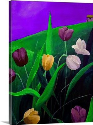 Purple Sky Tulips