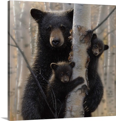 Black Bear Mother and Cubs - Mama Bear
