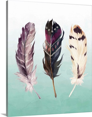Feathers on Teal