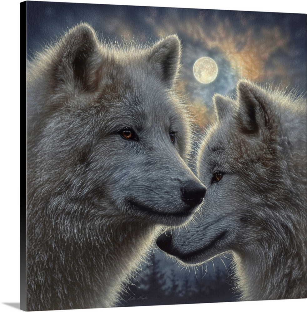 Moonlight Wolf Mates Wall Art, Canvas Prints, Framed Prints, Wall Peels ...