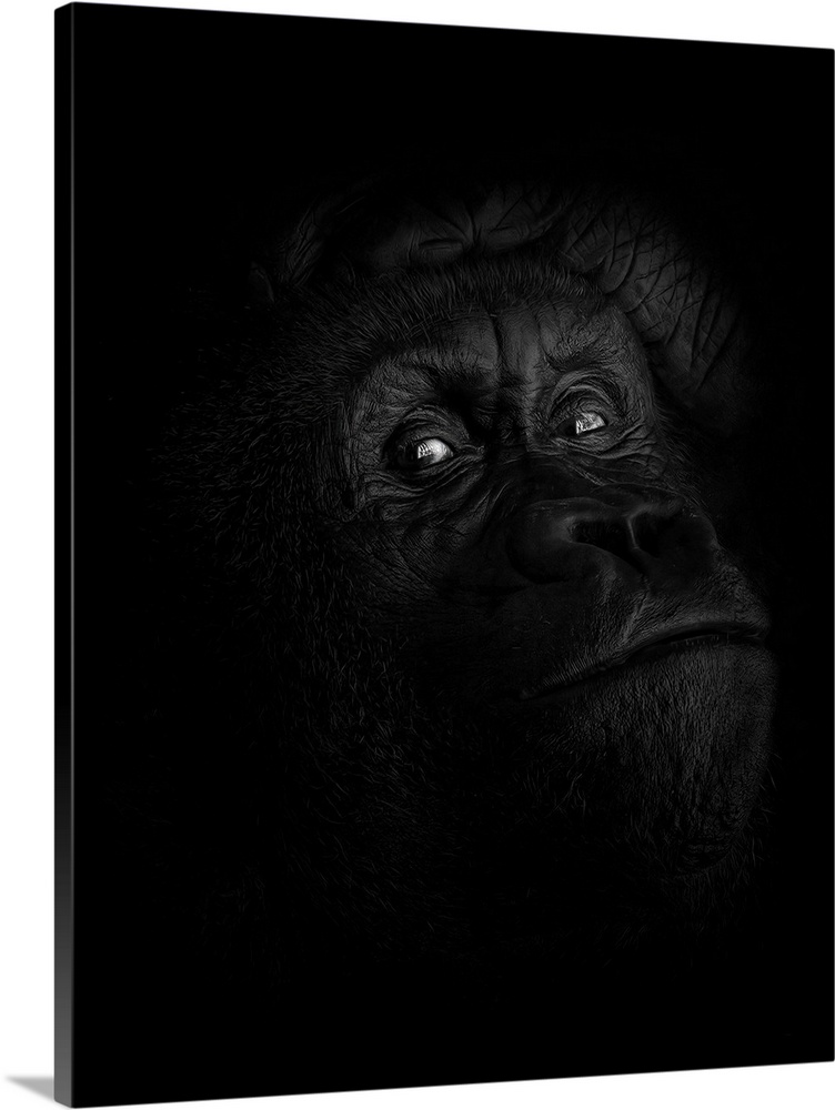 Peaceful Giant Wall Art, Canvas Prints, Framed Prints, Wall Peels