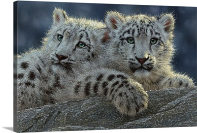 Snow Leopard Cubs