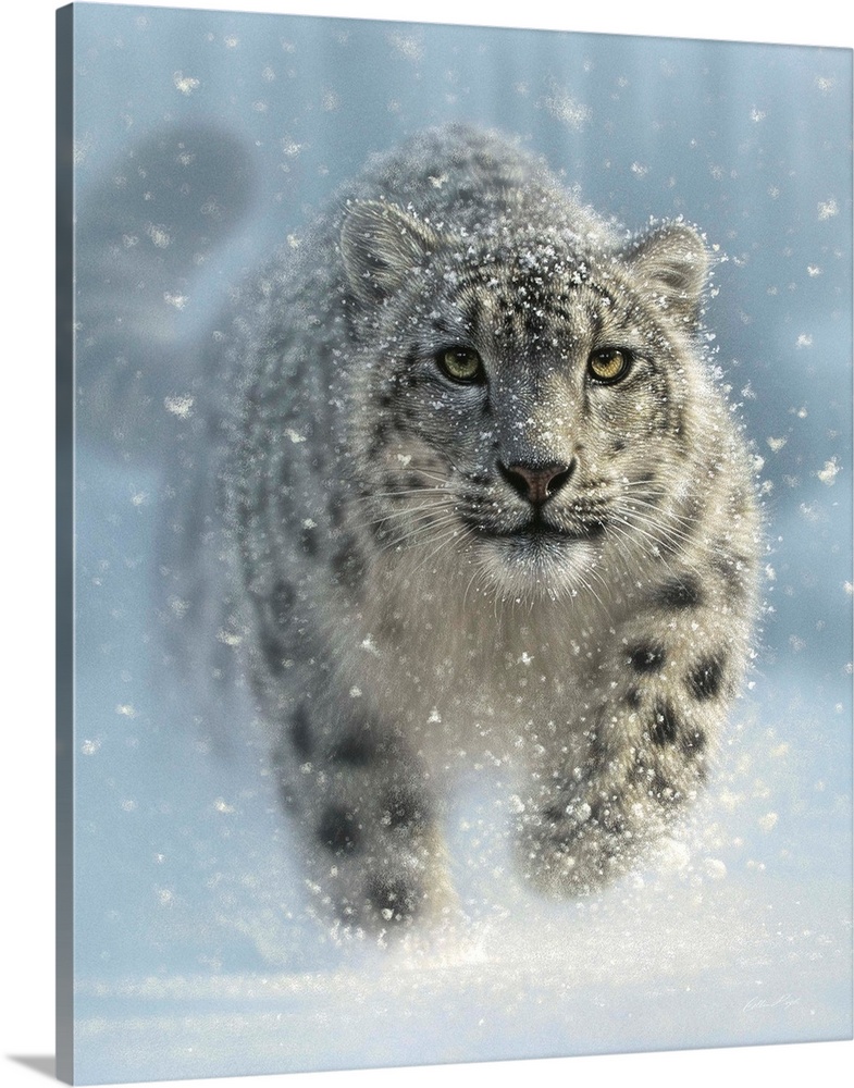 Picture Poster Cat Animal Snow Leopard Cub Relaxing on a Rock Framed Print 