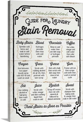 Stain Removal Guide