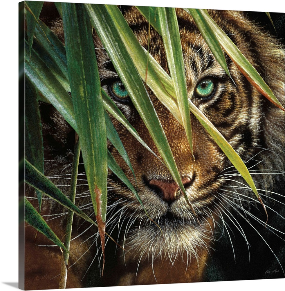 Tiger Eyes Wall Art, Canvas Prints, Framed Prints, Wall Peels Great Big Canvas