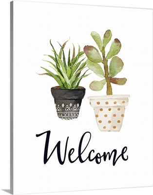 Welcome Succulents