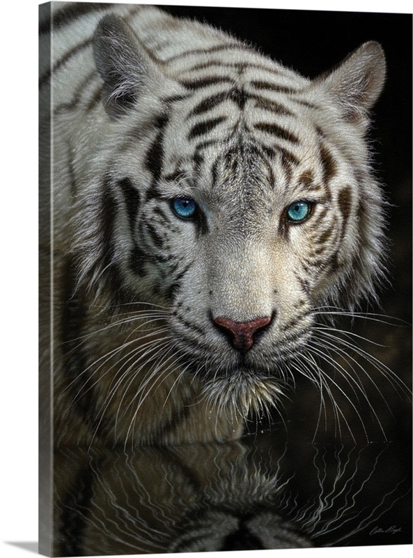 White Tiger Into the Light Wall Art, Canvas Prints, Framed Prints, Wall Peels Great Big Canvas
