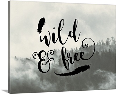 Wild and Free Feathers
