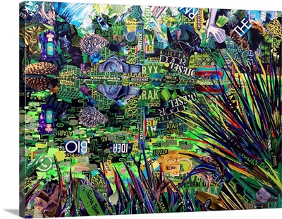 The Enchanted Pond