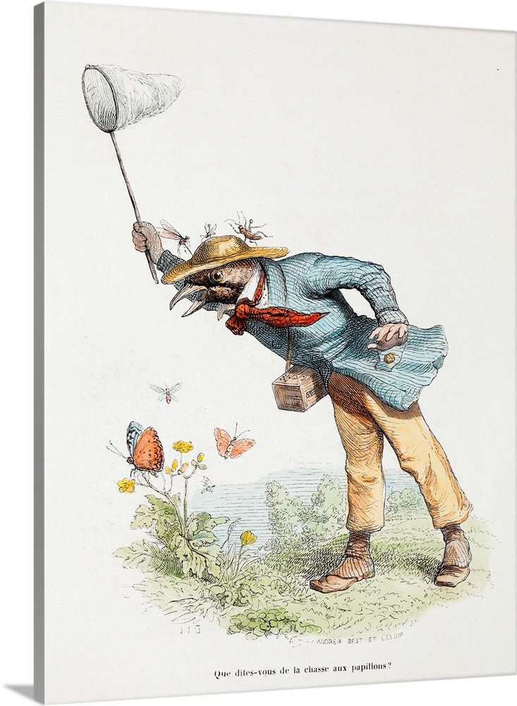 A butterfly collector. Antique Lithograph Published 1842-53, Paris for \Scenes de la vie privee et publique des animaux\" ...
