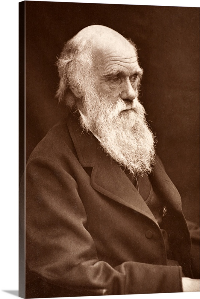 Photograph of Charles Darwin taken by his son Leonard around 1874 when Darwin was in his mid sixties. It appeared in \Char...