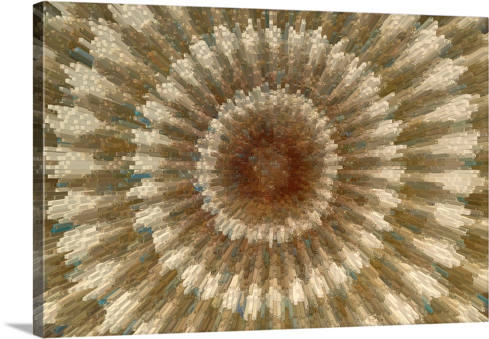 Abstract image produced by applying digital filters to a cross section of a spine of a sea urchin (Echinus sp.).