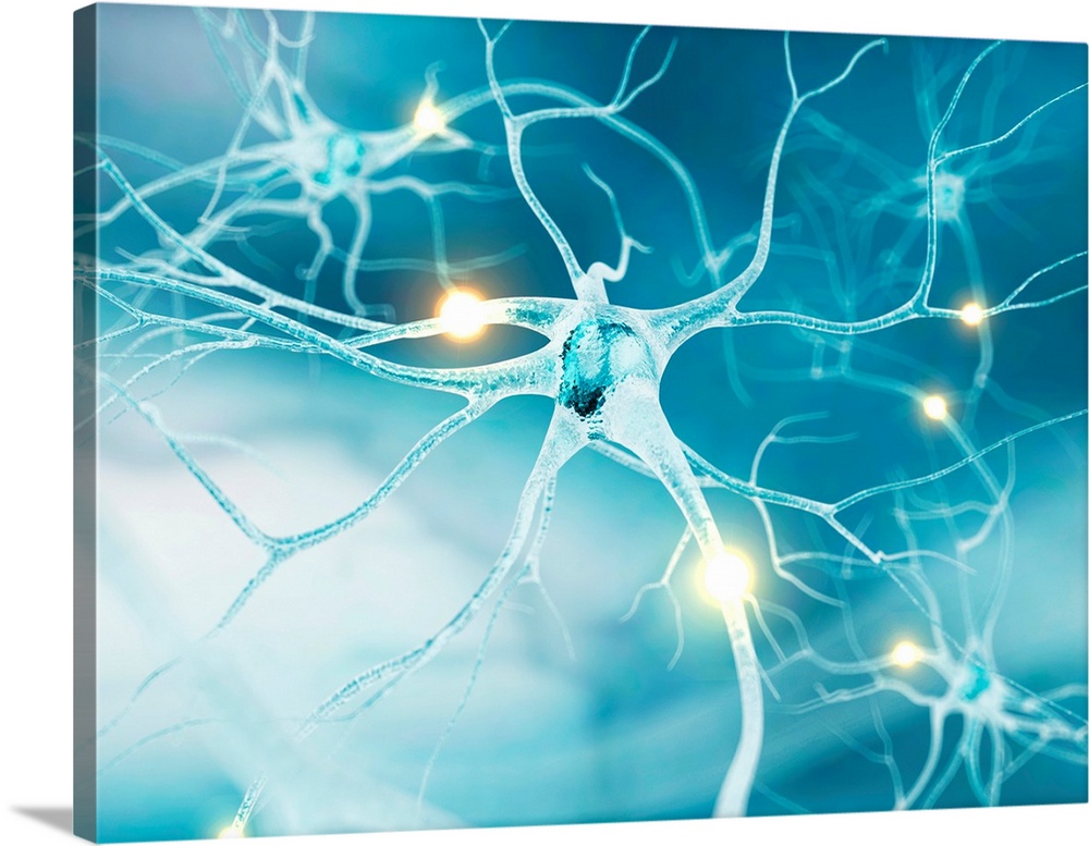 Active nerve cells, computer artwork.