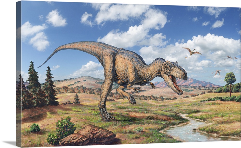 Allosaurus dinosaur, artwork. Allosaurus patrolling its territory, marked by a stream. Allosaurus was a large carnivorous ...