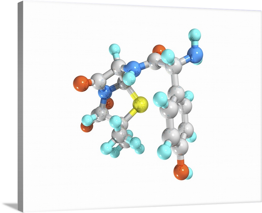 Amoxicillin. Computer model of a molecule of the drug amoxicillin. It is also known as amoxycillin, and is sold under the ...