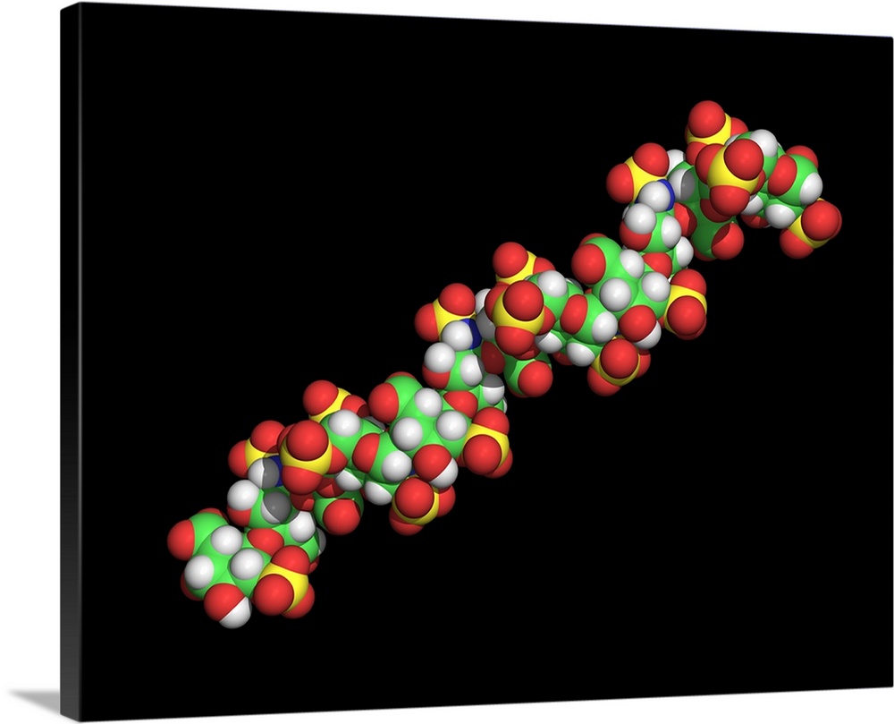 Anticoagulant molecule. Computer model of the anticoagulant heparin. Atoms are represented as spheres and are colour-coded...