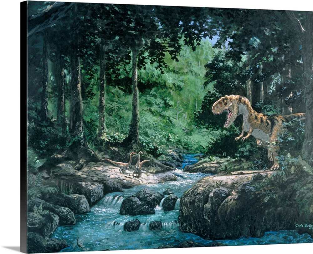 Tyrannosaurus Rex. Artwork of a Tyrannosaurus rex dinosaur hunting in a forest. Tyrannosaurus (\tyrant reptile\) was a lar...