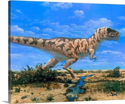 Artwork of a Tyrannosaurus rex dinosaur