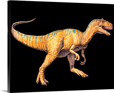 Artwork of an Allosaurus dinosaur, Allosaurus sp