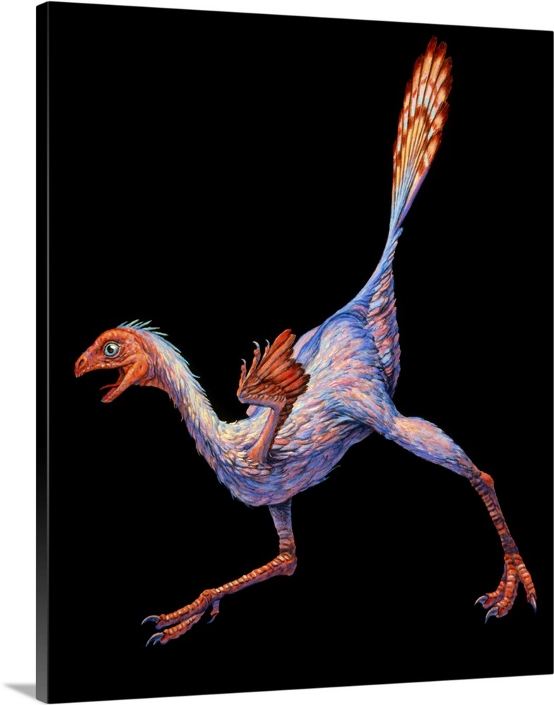 bird like dinosaur with wings
