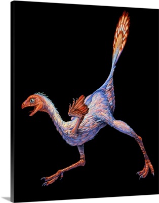 Artwork of Caudipteryx sp., a bird-like dinosaur