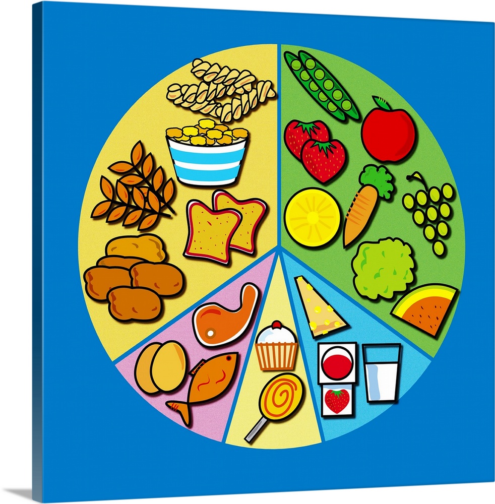 Balanced diet, computer artwork. A balanced diet shown as segments of a pie. The pie shows what proportion of the diet sho...