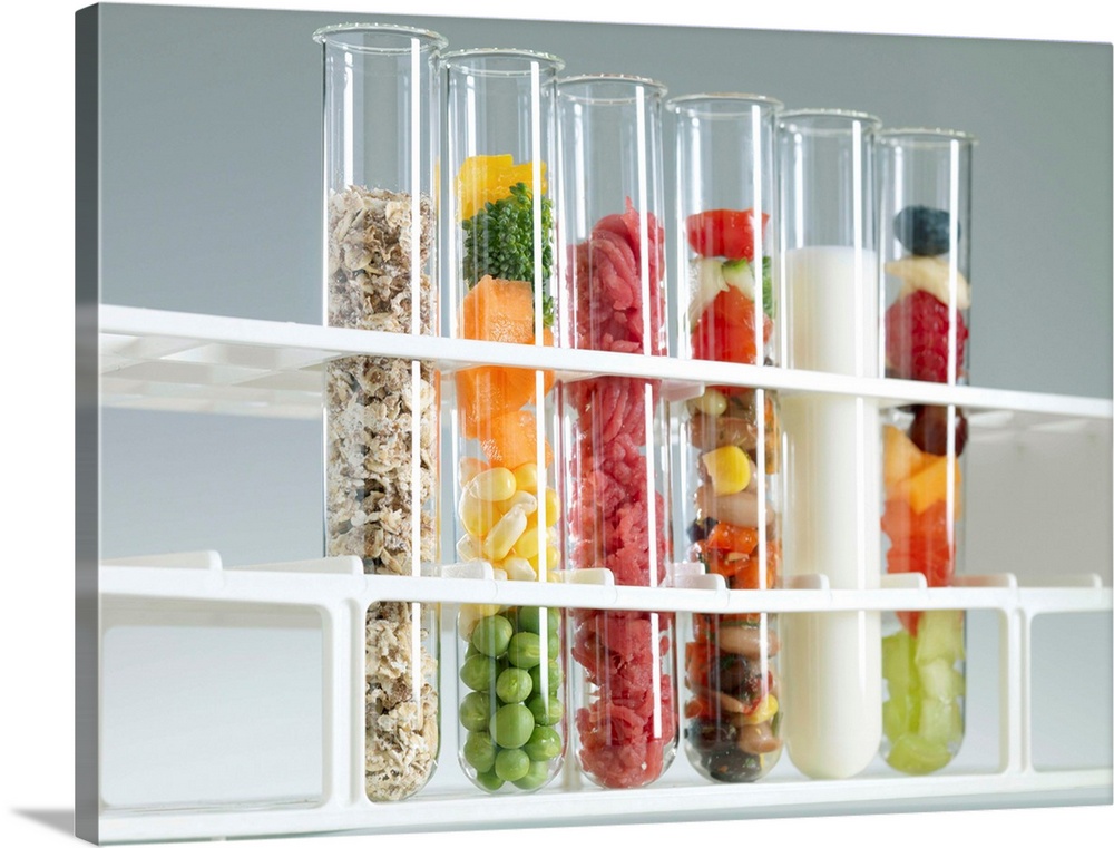 Balanced diet. Test tubes containing the components of a healthy diet. From left to right are: cereals, vegetables, meat, ...