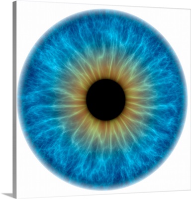 Blue Eye, Artwork