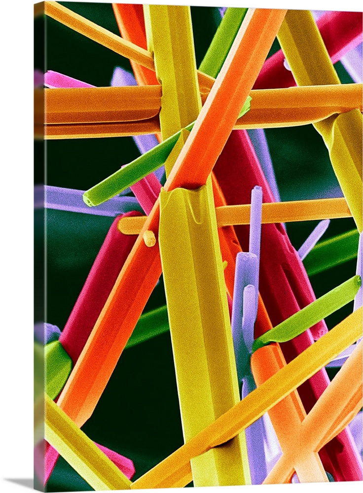 Caffeine crystals. Coloured scanning electron micrograph (SEM) of anhydrous caffeine crystals (1,3,7-trimethylxanthine). T...