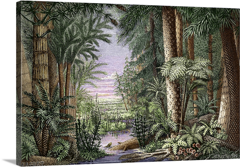 Carboniferous landscape. Historical artwork from 1868 showing flora from the Carboniferous period (340-280 million years a...