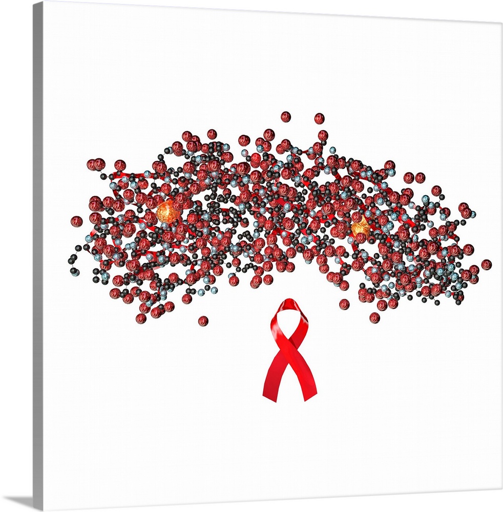 CD4 protein fragment. Molecular model of the CD4 glycoprotein, which plays a vital role in the immune system. It is found ...