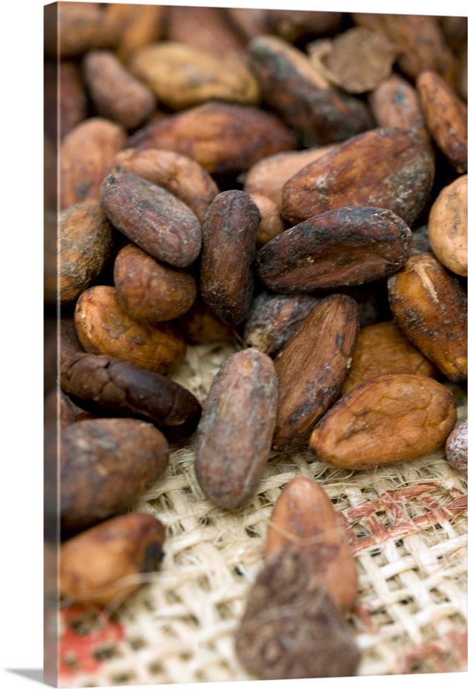 Cocoa beans. These beans are obtained from the pod of the cocoa plant (Theobroma cacao), also known as the cacao tree. The...