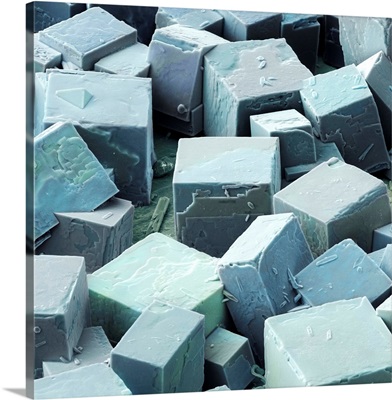 Common salt crystals SEM