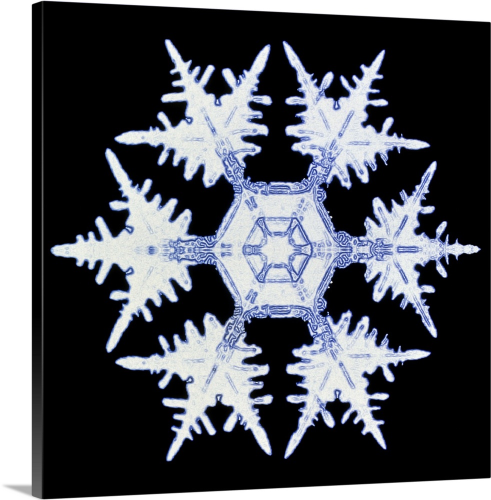 Snowflake. Computer-enhanced image of a snow crystal. Snowflakes show a typical hexagonal symmetry (as seen here) if the c...