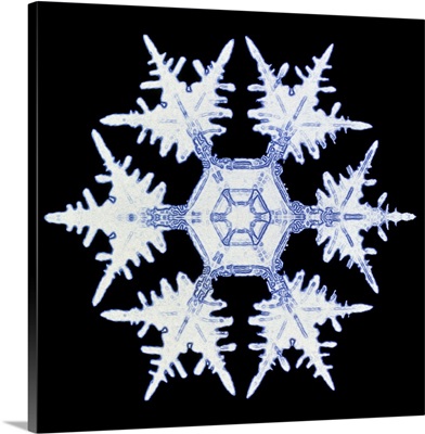 Computer enhanced image of a snow flake