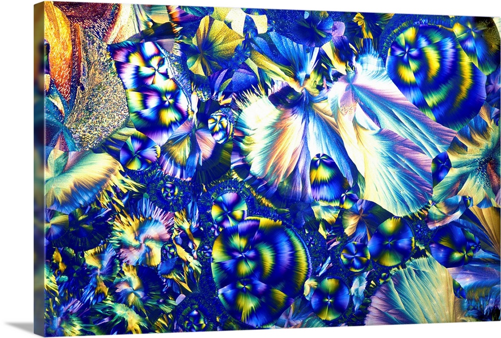 Copper sulphate and magnesium sulphate crystals. Polarised light micrograph of copper sulphate (Cus04) and magenesium sulp...