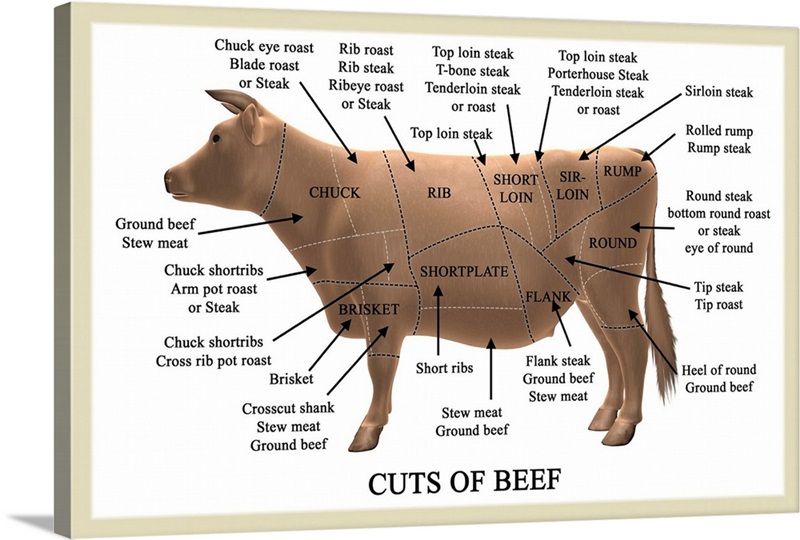 Cuts of beef | Great Big Canvas