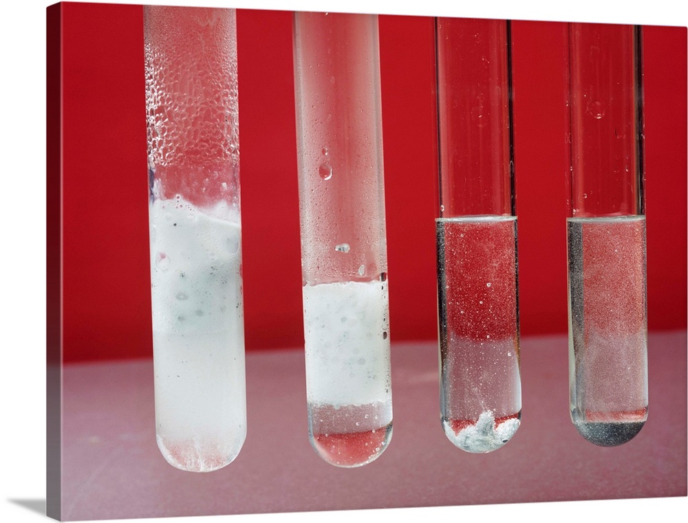 Dilute hydrochloric acid reactions. From left, calcium, magnesium, zinc and iron reacting with different intensities to di...
